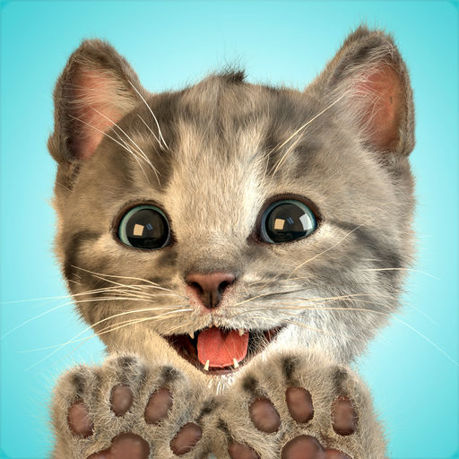 Little Kitten App